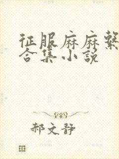 征服麻麻系列大合集小说