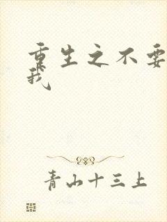 重生之不要爱上我