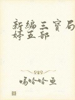 新编三宝局长许婷五部