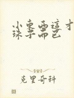 小东西这才一颗珠子而已