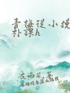 青梅从小摸到大补课h