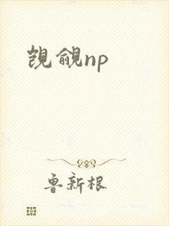 觊觎np