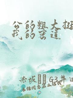 公的粗大挺进了我的密道