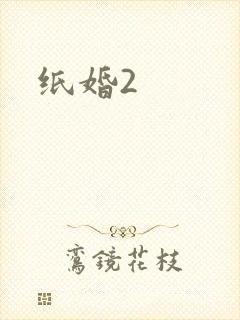 纸婚2