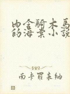 内含骑木马情节的海棠小说男主