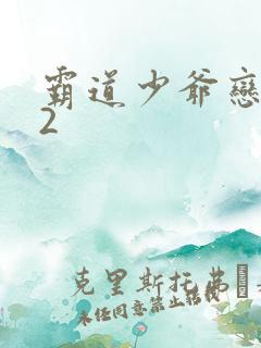 霸道少爷恋上我2