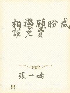 相遇顾盼成欢小说免费