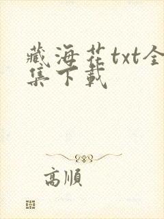 藏海花txt全集下载