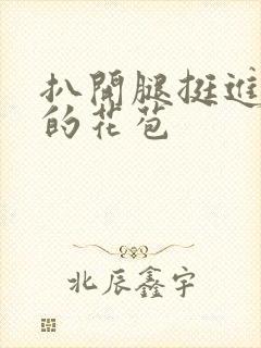 扒开腿挺进湿润的花苞