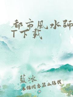 都市风水师TXT下载