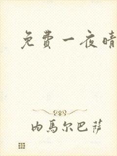 免费一夜晴交友