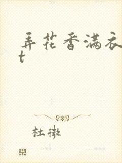 弄花香满衣txt