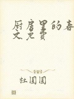 厨房里的春天全文免费