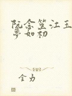 阮念笙江玉楼回梦如初