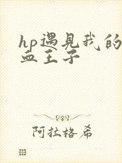 hp遇见我的混血王子