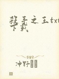 杀手之王txt下载