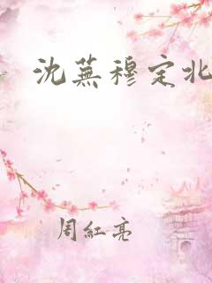 沈芜穆定北小说
