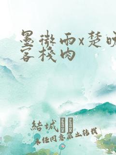 墨微雨x楚晚宁客栈肉