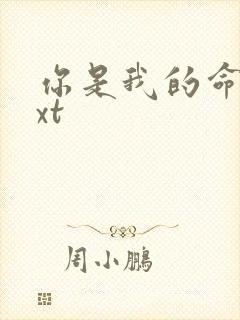 你是我的命运txt