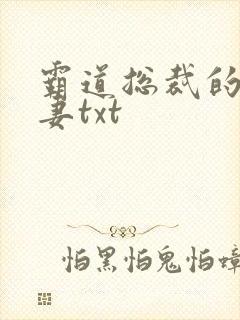 霸道总裁的挂名妻txt