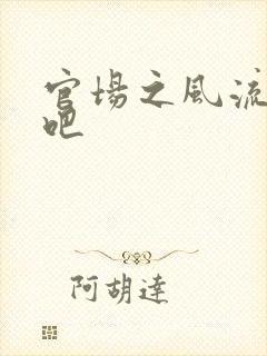 官场之风流人生吧