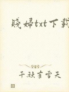 贱妇txt下载