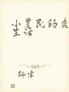 小农民的爽歪歪生活