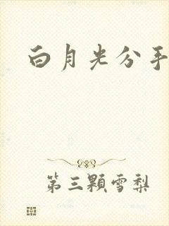 白月光分手日常