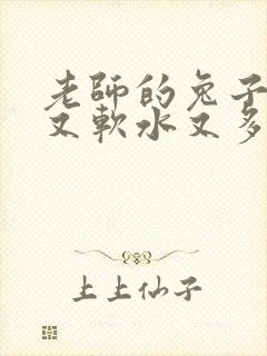 老师的兔子又大又软水又多