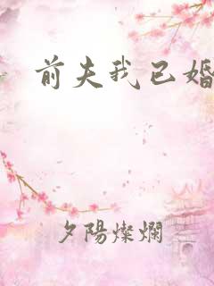 前夫我已婚