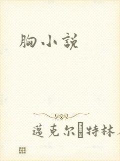 胸小说