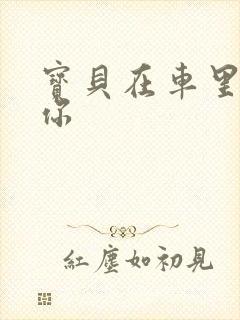 宝贝在车里想要你