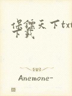 保镖天下txt下载