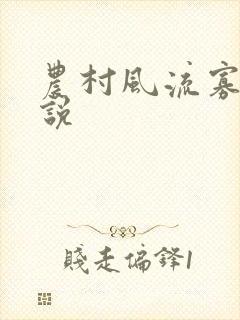 农村风流寡妇小说