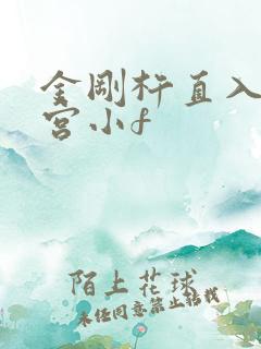 金刚杵直入莲花宫小f