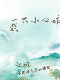 一不小心嫁给总裁