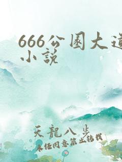 666公园大道小说