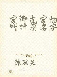宫卿岚宫灼小说叫什么名字