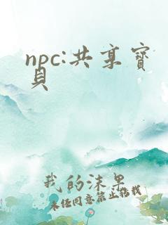 npc:共享宝贝