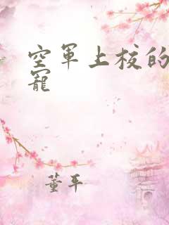 空军上校的邪魅宠