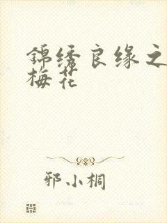 锦绣良缘之驿寄梅花