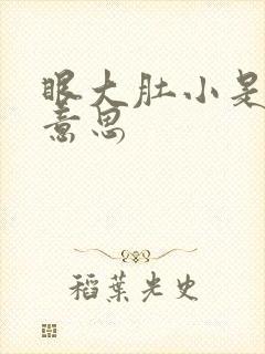 眼大肚小是什么意思