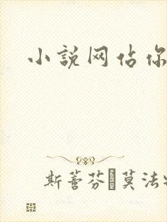 小说网站你懂的