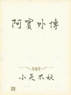 阿宾外传