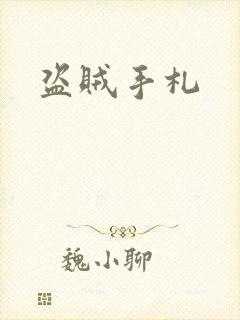 盗贼手札