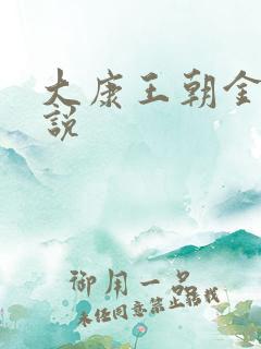大康王朝金峰小说
