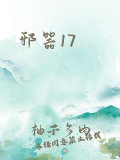 邪器17