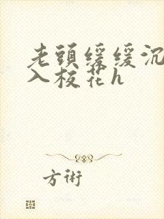 老头缓缓沉腰进入校花h