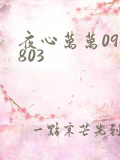 夜心万万090803