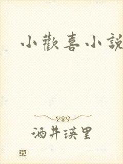 小欢喜小说